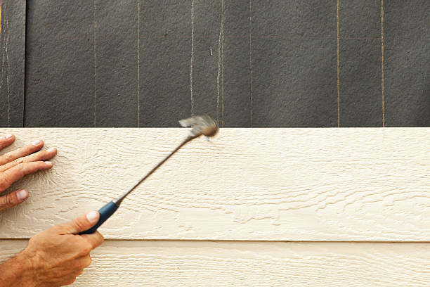 Best Insulated Siding Installation  in Brandenburg, KY